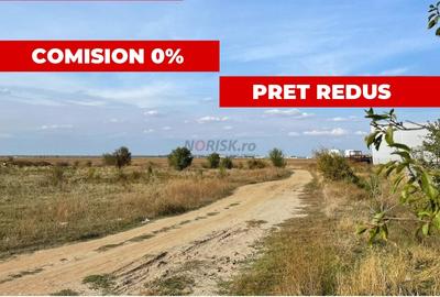 Teren agricol extravilan de 2500 mp, în Chitila - 1