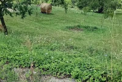 Teren de 100 mp, în Baia Sprie