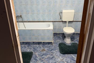 Casă cu 5 camere cu Teren 1600 Mp în Iecea Mare