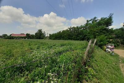 Teren de 1948 mp, în Brăești - 10