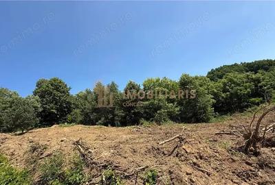 Teren de 1000 mp, în Orașul Vechi - 4