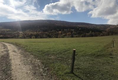 Teren de 29713 mp, în Malnaș