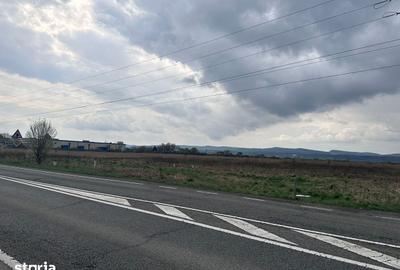 Teren de 26112 mp, în Ernei - 7