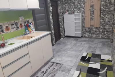 Apartament cu 2 camere decomandat în Broșteni - 4