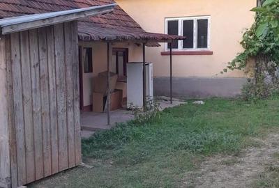 Casă cu 2 camere cu Teren 1567 Mp în Băița - 16