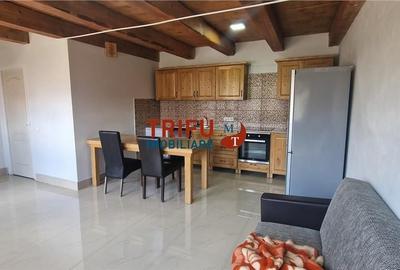 Casă cu 3 camere cu Teren 430 Mp în Tolstoi - 16