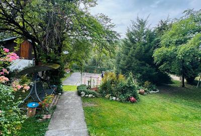 Casă individuală cu 10 camere cu Teren 6050 Mp în Vârfuri - 4