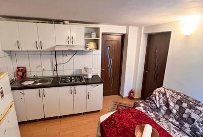 Casă cu 2 camere cu Teren 400 Mp în Țânțăreni - 5