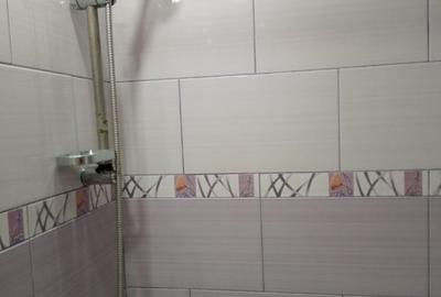 Garsonieră în Alexandru cel Bun - 3