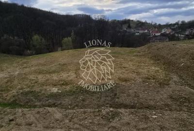 Teren extravilan de 1000 mp, în Est
