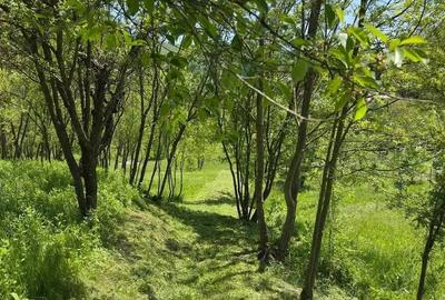 Teren de 1400 mp, în Vișinești
