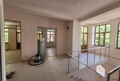 Spațiu comercial, de 400 mp, în Ultracentral - 8