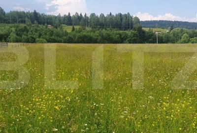 Teren de 10000 mp, în Șaru Dornei - 6