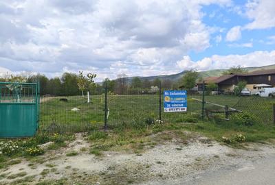 Teren Construcții intravilan de 19209 mp, în Crasna - 5
