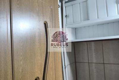 Apartament cu 2 camere nedecomandat, mobilat în Central - 20