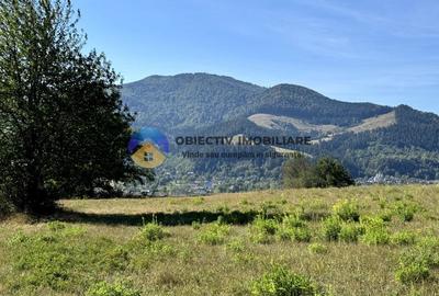 Teren Construcții de 2217 mp, în Viișoara - 5