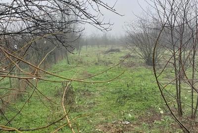 Casă cu 2 camere cu Teren 1345 Mp în Gorneni - 1