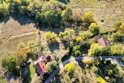 Teren Construcții intravilan de 2825 mp, în Vâlcele - 13