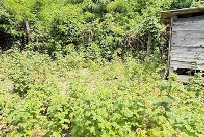 Casă cu 3 camere cu Canalizare în Est - 7