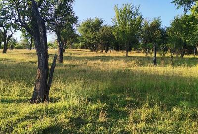Teren de 2700 mp, în Dobreni - 1