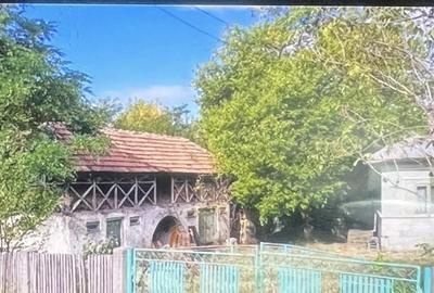 Casă cu 4 camere cu Teren 1800 Mp în Bârsoiu - 8