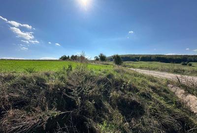 Teren de 4300 mp, în Adâncata - 4