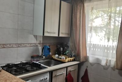 Casă individuală cu 3 camere cu Canalizare în Viișoara - 10