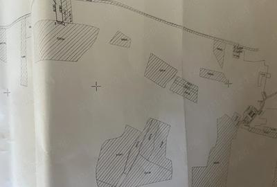 Teren de 5500 mp, în Ernei
