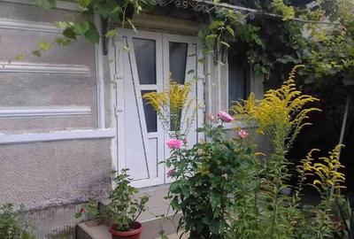 Casă cu 3 camere cu Teren 850 Mp în Central - 2