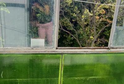 Apartament cu 3 camere decomandat în Valea Oltului - 3