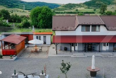 Casă cu 4 camere în Stâna de Mureș - 10