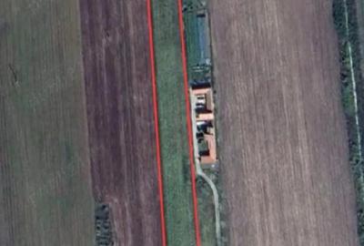 Teren de 10000 mp, în Izvin - 5