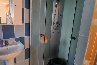 Casă cu 2 camere cu Teren 1200 Mp în Bucinișu - 3
