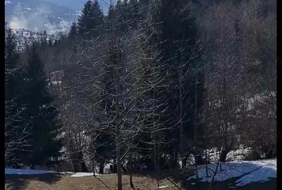 Teren de 3900 mp, în Central - 1