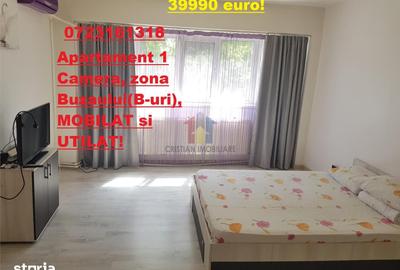 Garsonieră în Buzaului