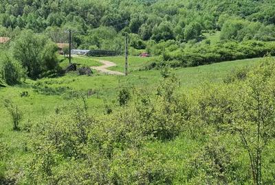 Teren de 5850 mp, în Crușovița - 2