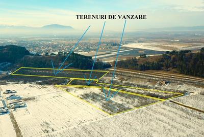 Teren Construcții extravilan de 89800 mp, în Sânpetru - 5