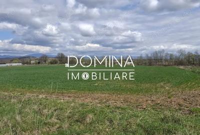 Teren de 20386 mp, în Câlnic - 5