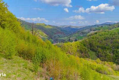 Spațiu comercial, în Poiana Mărului - 1