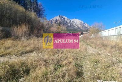 Teren de 14969 mp, în Bușteni - 2