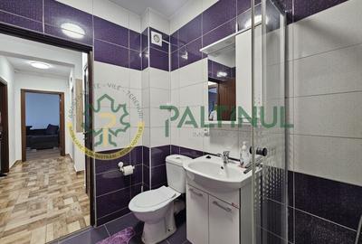 Apartament cu 2 camere decomandat în Șelimbăr - 18