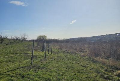 Teren de 850 mp, în Calea Aradului
