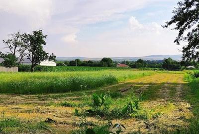 Teren de 2950 mp, în Vârfu Câmpului - 4