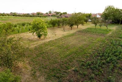 Casă cu 4 camere cu Teren 2700 Mp în Girișu de Criș - 38
