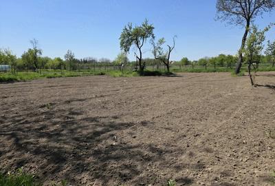 Casă cu Teren 1500 Mp în Gura Foii