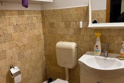 Apartament cu 3 camere semidecomandat, mobilat în Șagului