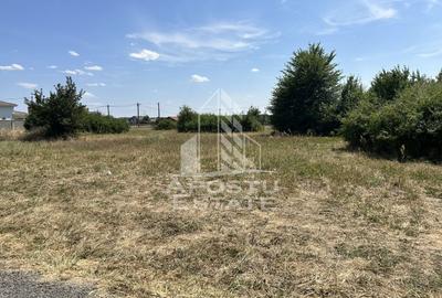 Teren Construcții intravilan de 916 mp, în Dumbrăvița - 2