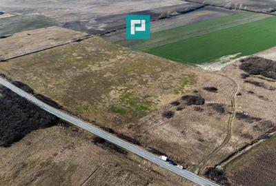 Teren agricol extravilan de 9000 mp, în Sânmihaiu Român - 2