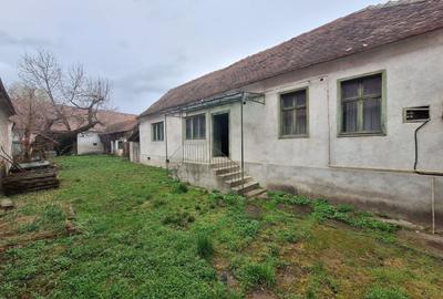 Casă individuală cu 3 camere cu Canalizare în Vinerea - 1