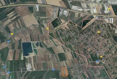 Teren de 20000 mp, în Bolintin-Deal
